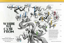 Hominoid-Hominin Evolution Illustrated Cladogram - Scientific American, 2014