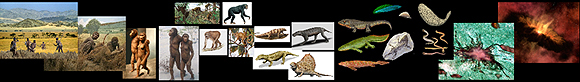 Evolution-Involution Slideshow Collage