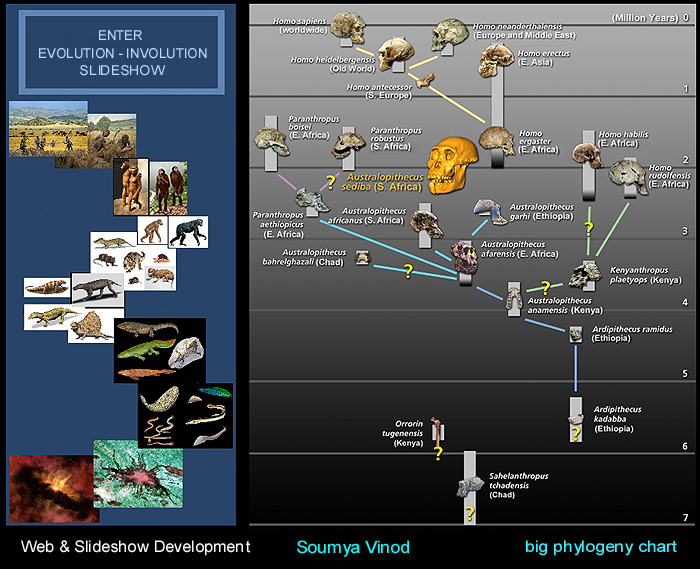 evolution_involution_slideshow