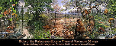 North America Biota of PETM: Paleocene-Eocene Thermal Maximum - the rise of mammals and true primates